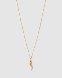 Cornicello Gold Charm Necklace - Large